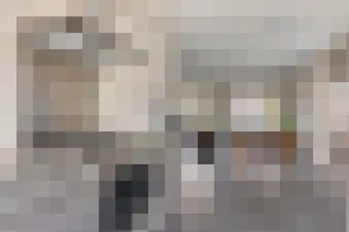 De Pream 2 Berltsum thumbnail 18