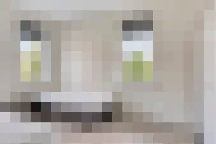 De Pream 2 Berltsum thumbnail 22