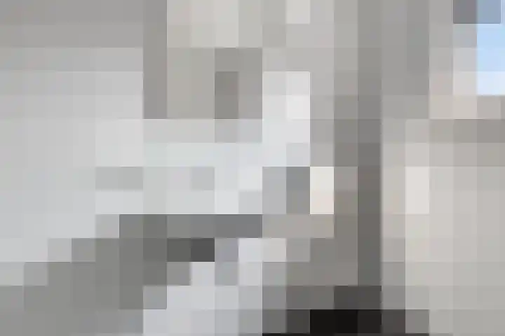 De Pream 2 Berltsum thumbnail 26