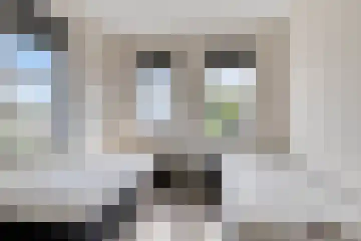 De Pream 2 Berltsum thumbnail 28