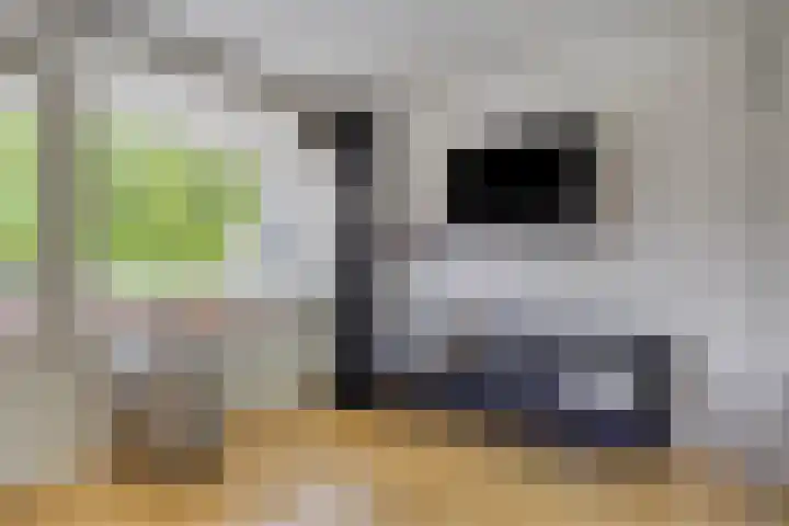 De Pream 2 Berltsum thumbnail 30
