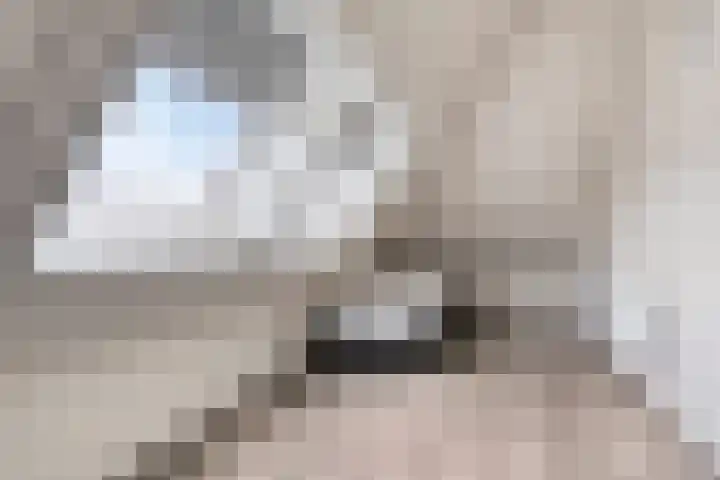 De Pream 2 Berltsum thumbnail 34