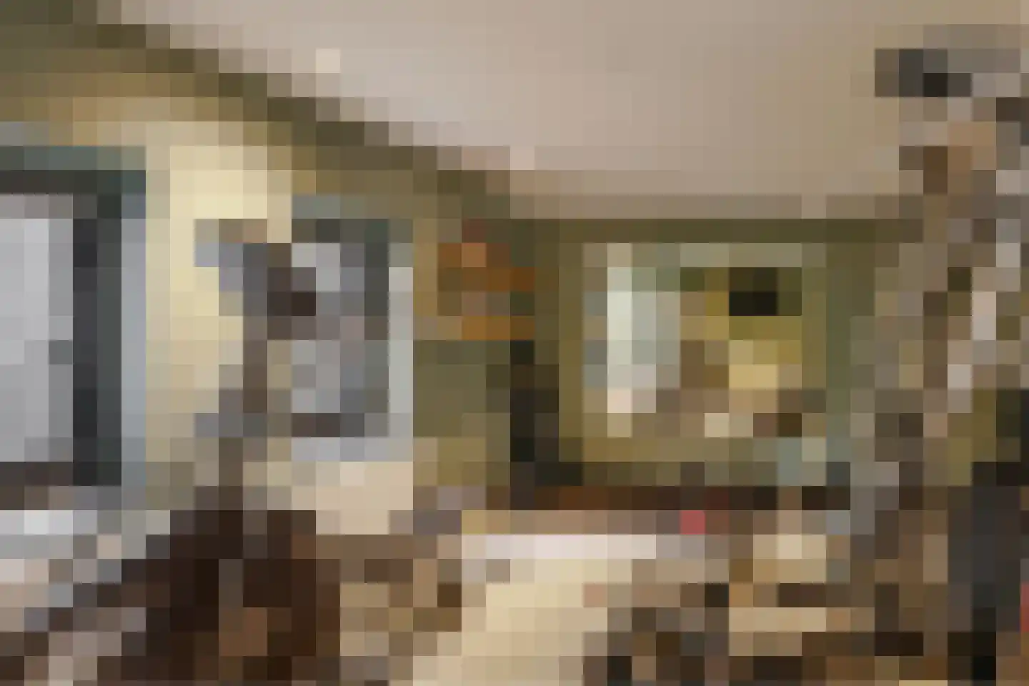 De Pream 2 Berltsum thumbnail 39