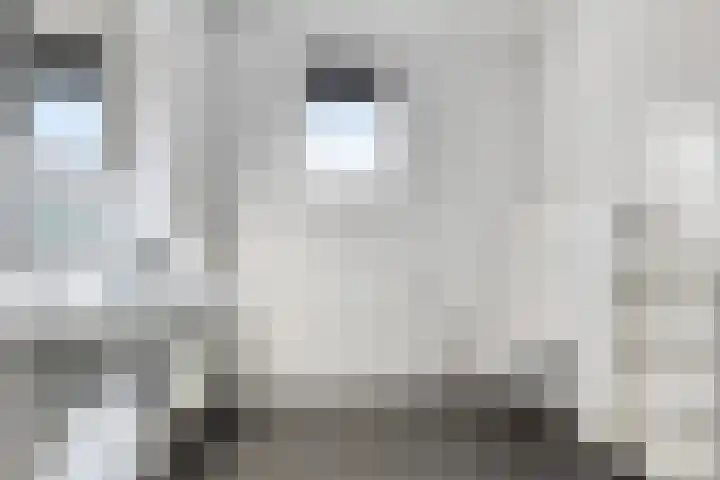 De Pream 2 Berltsum thumbnail 4
