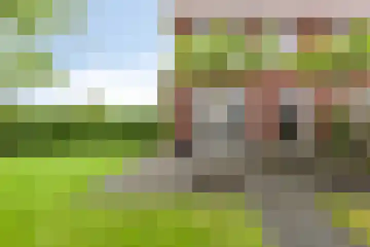 De Pream 2 Berltsum thumbnail 6