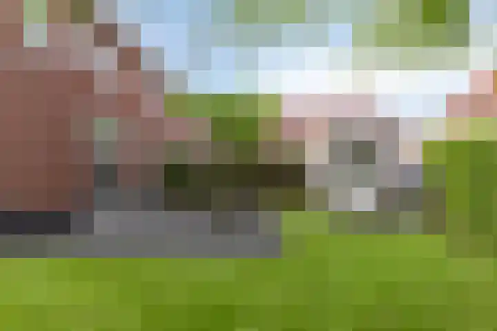 De Pream 2 Berltsum thumbnail 8