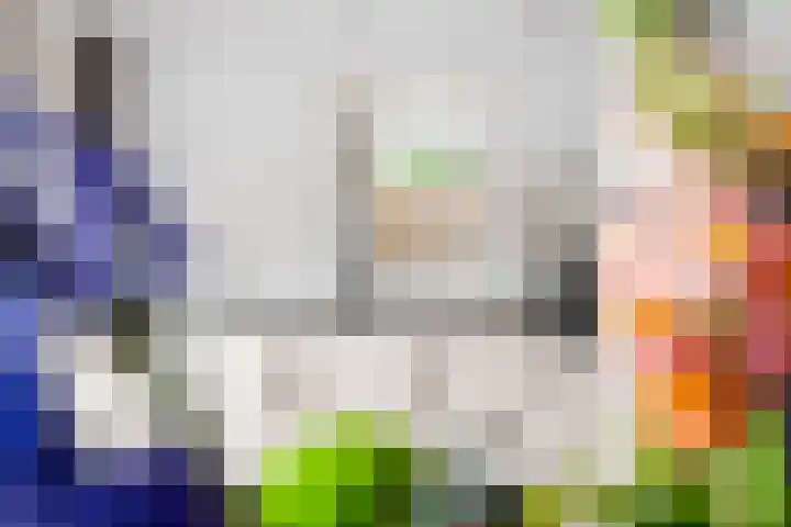 De Pream 3 Hallum thumbnail 11