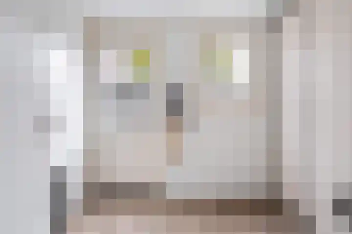 De Pream 3 Hallum thumbnail 13