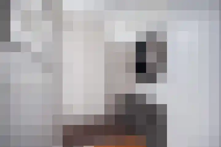 De Pream 3 Hallum thumbnail 18