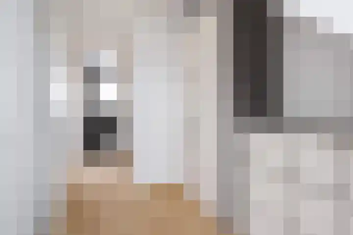 De Pream 3 Hallum thumbnail 25