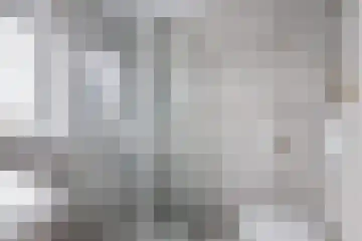 De Pream 3 Hallum thumbnail 29