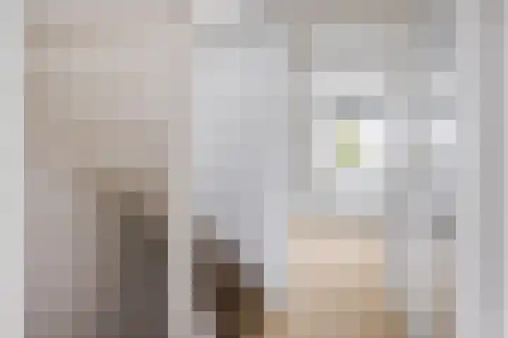 De Pream 3 Hallum thumbnail 31