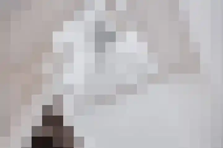 De Pream 3 Hallum thumbnail 33