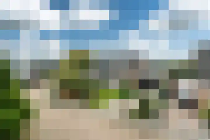 De Pream 3 Hallum thumbnail 43