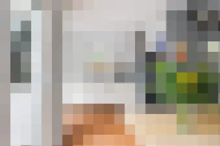 De Pream 3 Hallum thumbnail 7