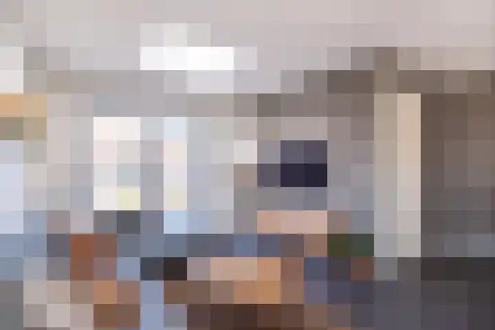 De Pream 36 Berltsum thumbnail 16