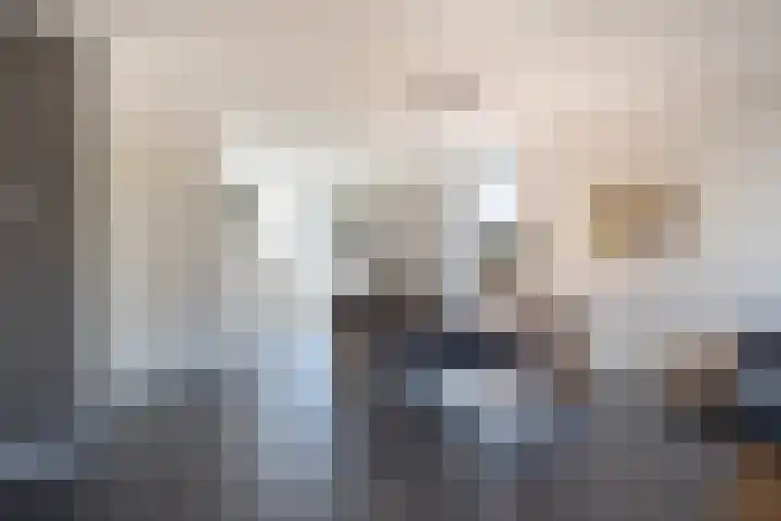 De Pream 36 Berltsum thumbnail 20