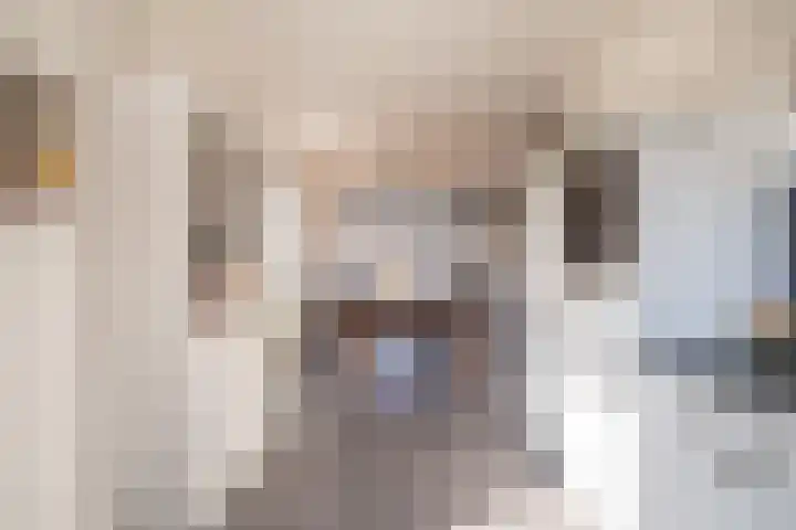 De Pream 36 Berltsum thumbnail 25