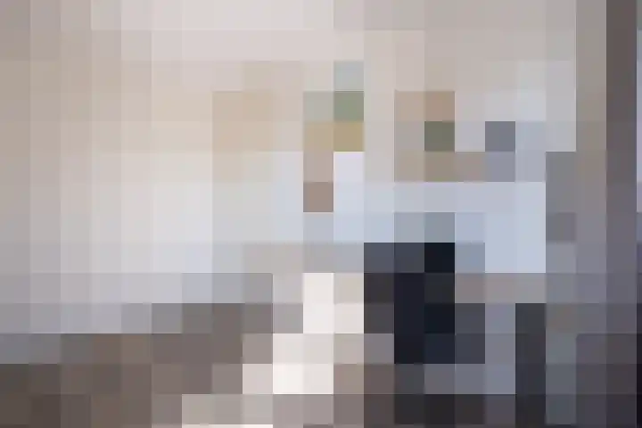De Pream 36 Berltsum thumbnail 39