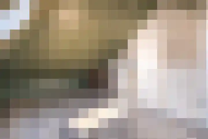 De Pream 36 Berltsum thumbnail 44