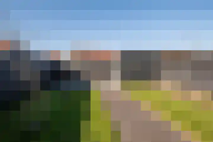 De Pream 36 Berltsum thumbnail 47