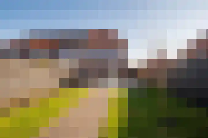 De Pream 36 Berltsum thumbnail 48