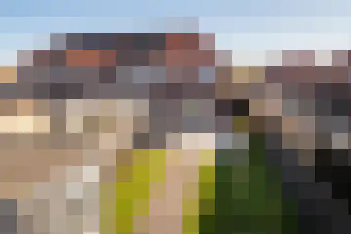 De Pream 36 Berltsum thumbnail 52