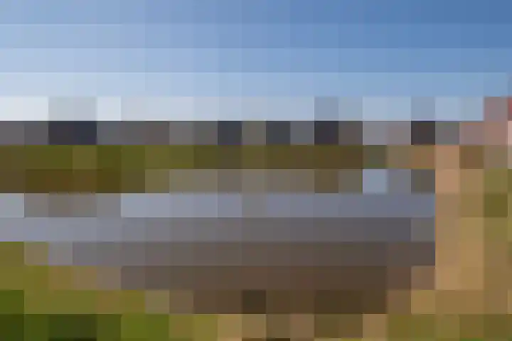 De Pream 36 Berltsum thumbnail 53