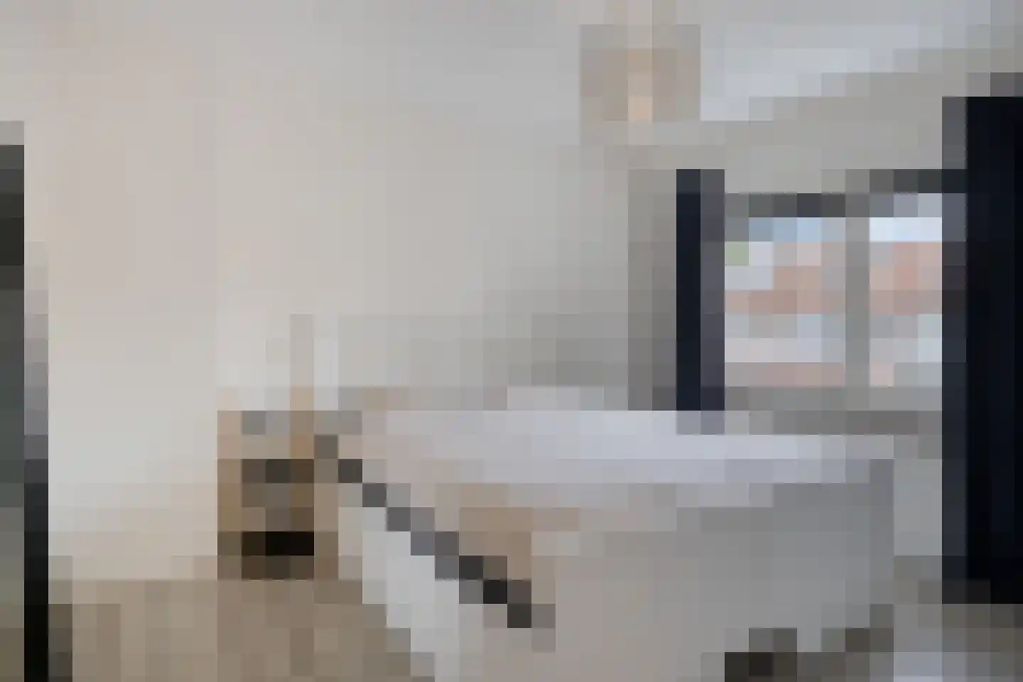 de Presstraat 29 Eindhoven thumbnail 15