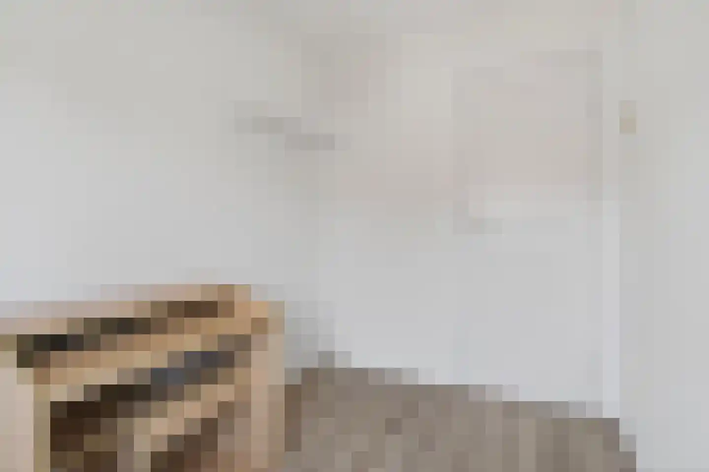 de Presstraat 29 Eindhoven thumbnail 25