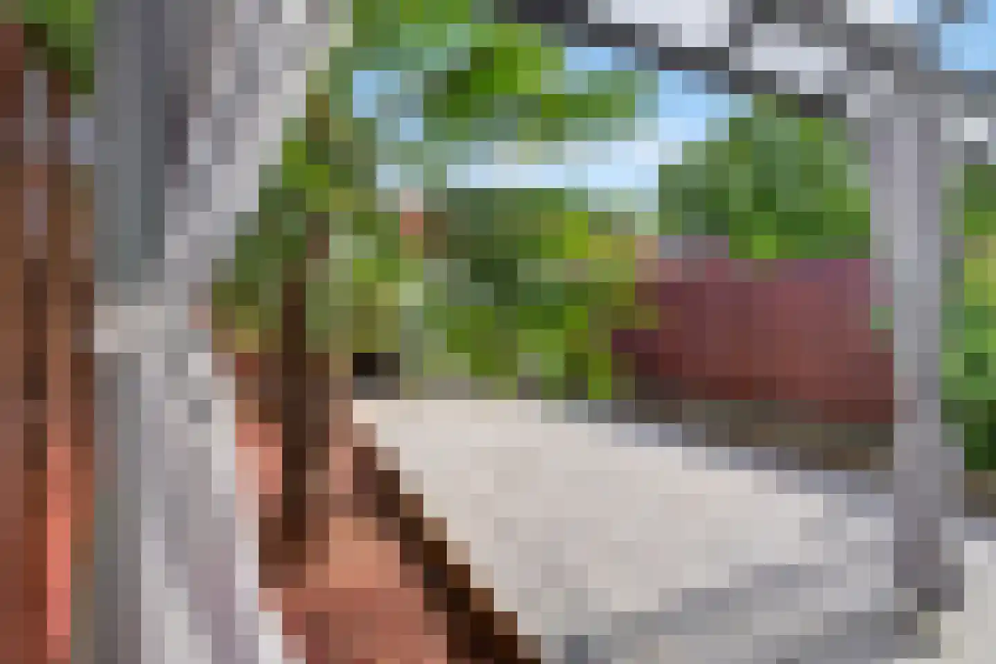 de Presstraat 29 Eindhoven thumbnail 34