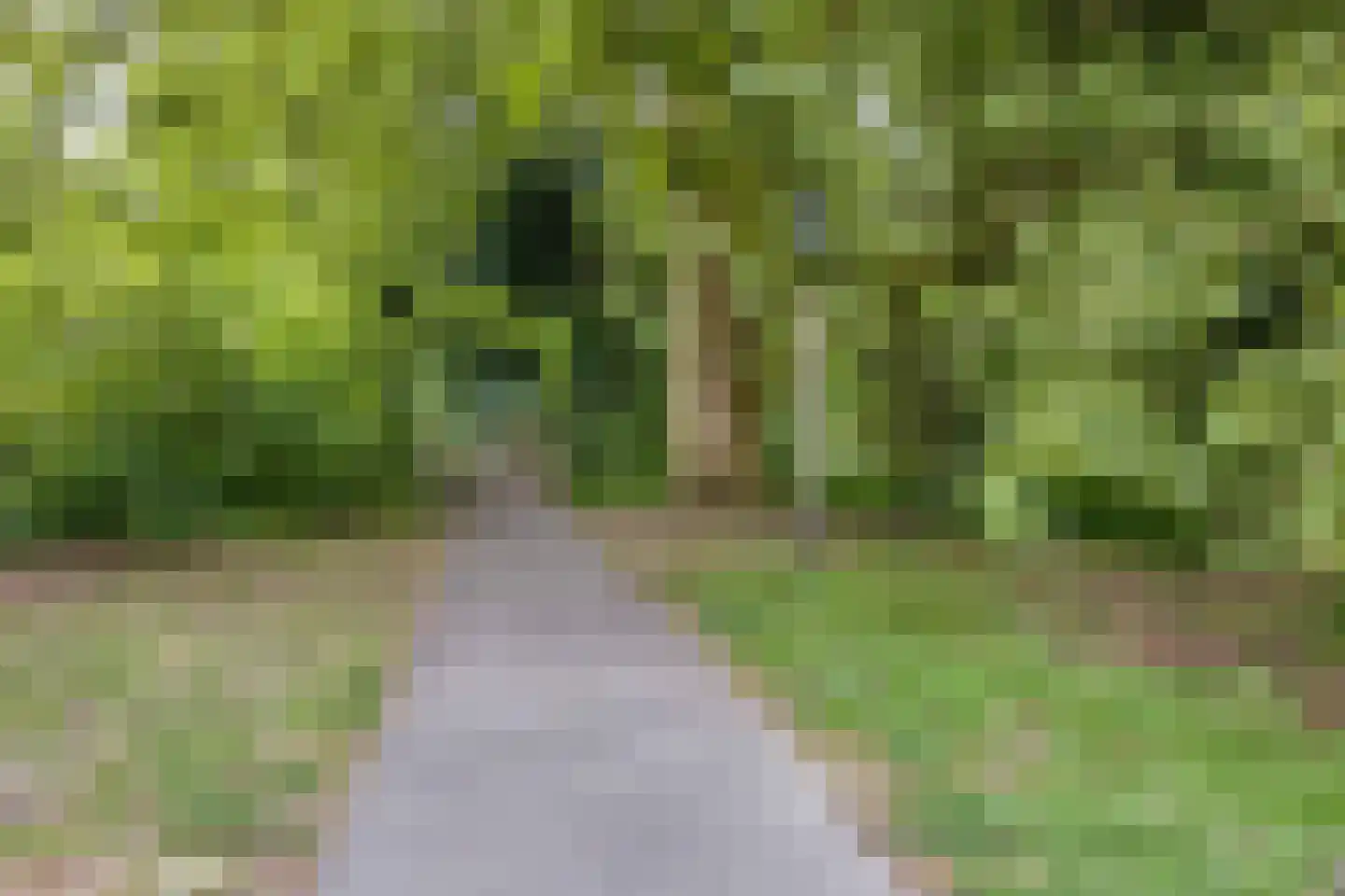de Presstraat 29 Eindhoven thumbnail 37