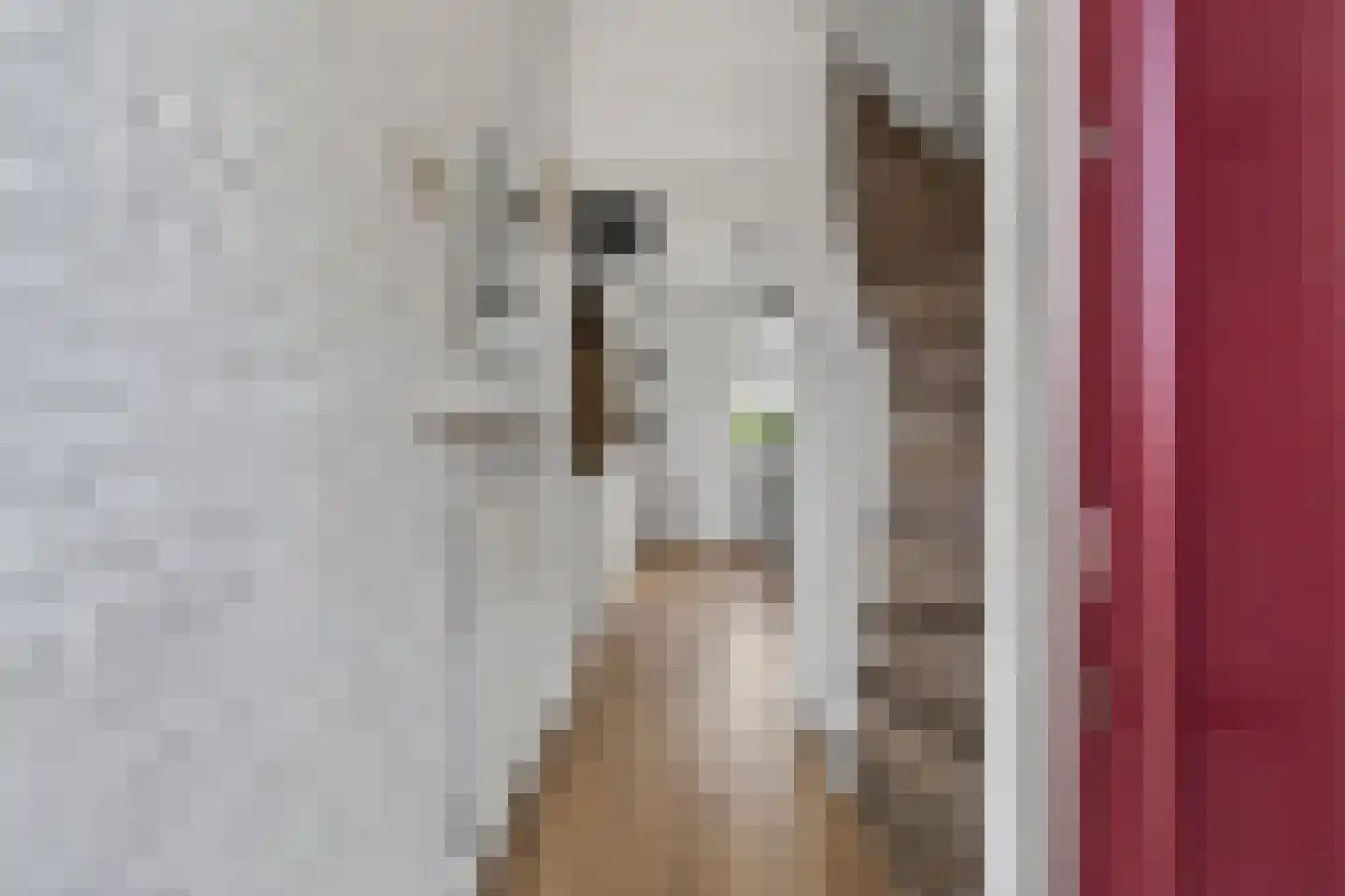 de Presstraat 29 Eindhoven thumbnail 7