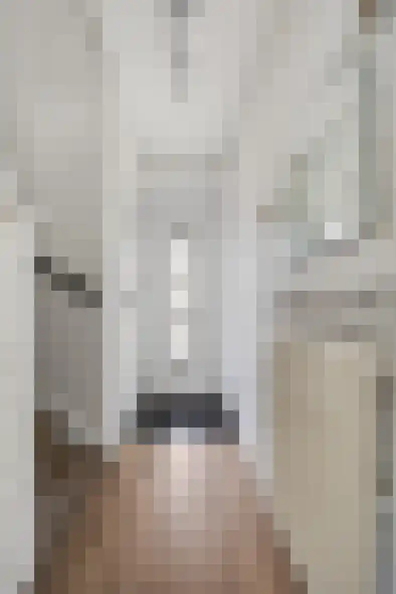 de Presstraat 29 Eindhoven thumbnail 8