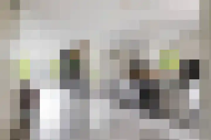 De Priorij 1 Harkstede thumbnail 10