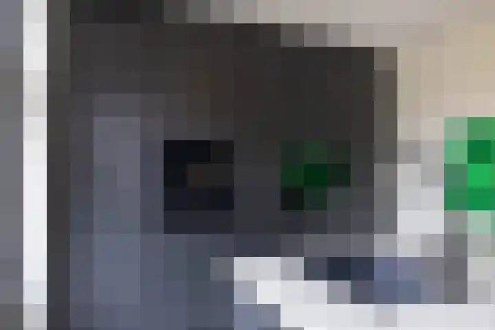 De Priorij 1 Harkstede thumbnail 13