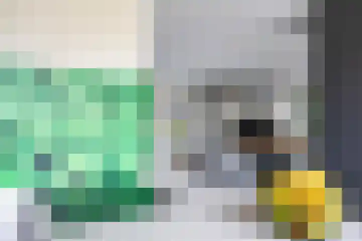De Priorij 1 Harkstede thumbnail 16