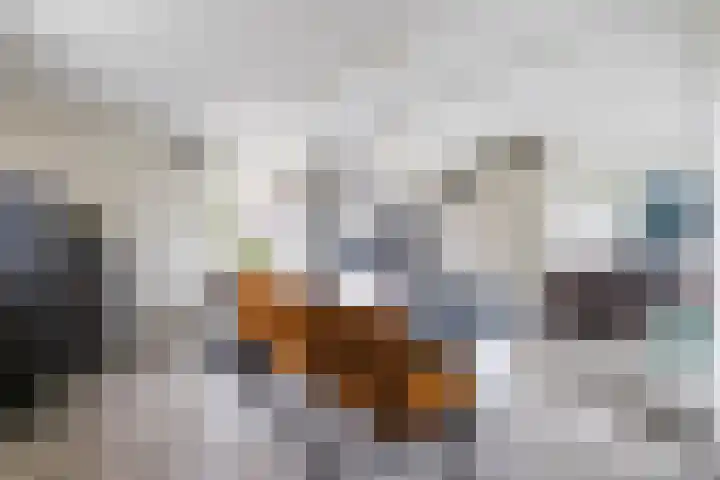 De Priorij 1 Harkstede thumbnail 17
