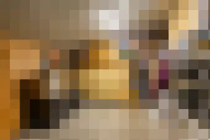 De Priorij 1 Harkstede thumbnail 23