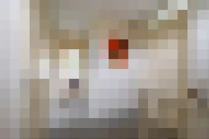De Priorij 1 Harkstede thumbnail 29