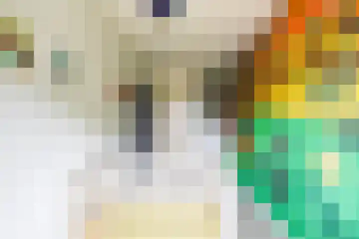 De Priorij 1 Harkstede thumbnail 32