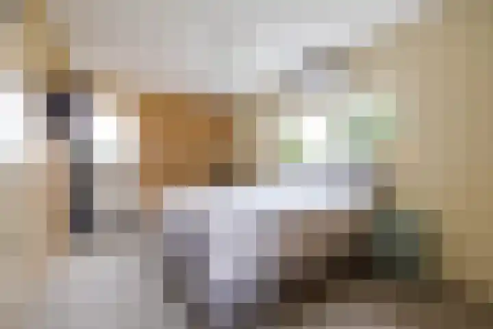 De Priorij 1 Harkstede thumbnail 33