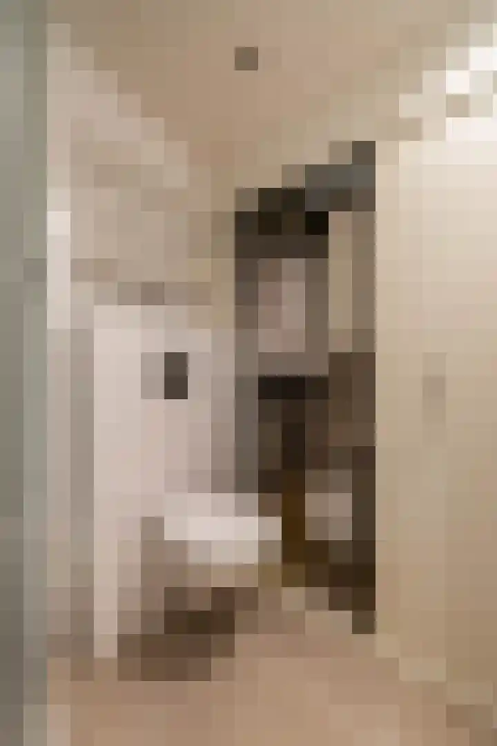 De Priorij 1 Harkstede thumbnail 50