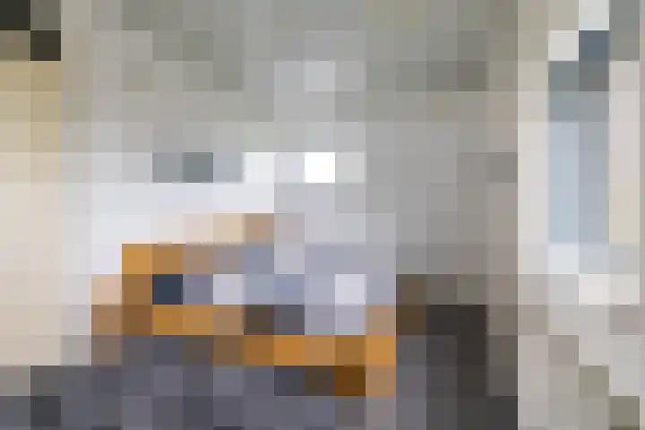 De Priorij 1 Harkstede thumbnail 53