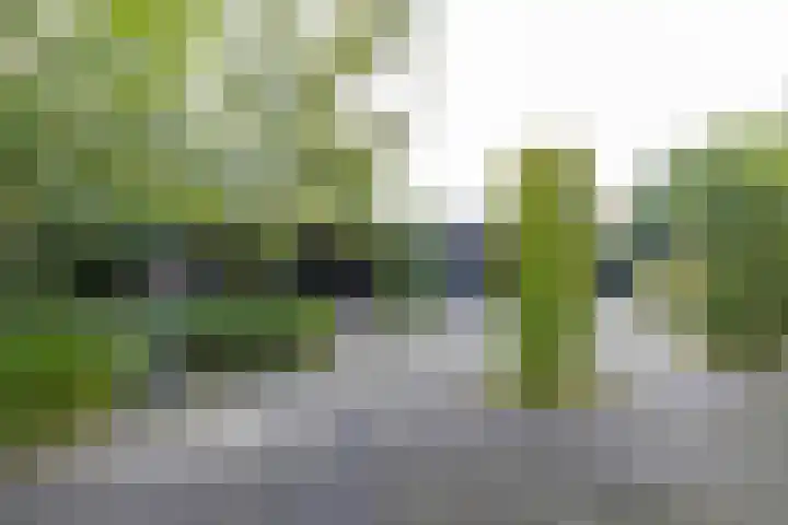 De Priorij 1 Harkstede thumbnail 57
