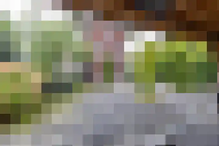 De Priorij 1 Harkstede thumbnail 58