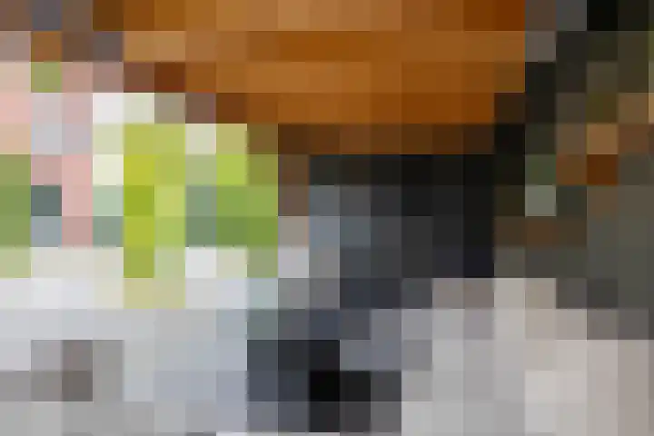 De Priorij 1 Harkstede thumbnail 60