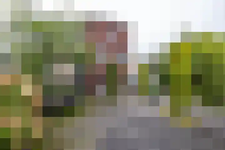De Priorij 1 Harkstede thumbnail 64