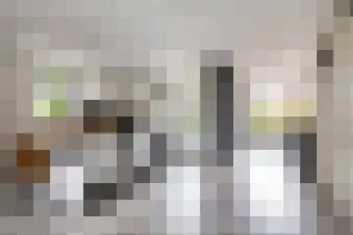 De Priorij 1 Harkstede thumbnail 9