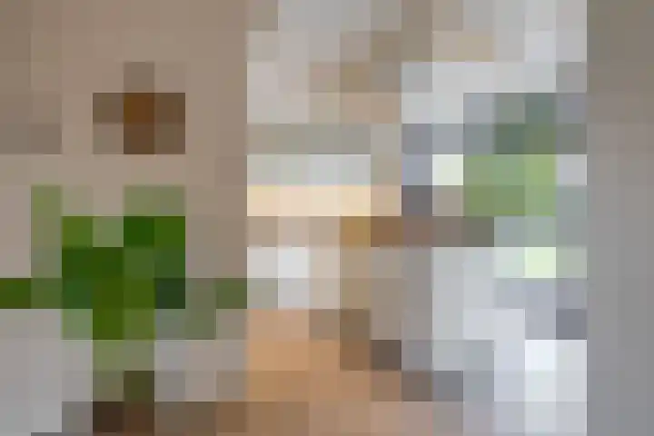 De Priorij 13 Harkstede thumbnail 14